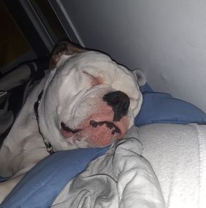 Meet your Posher, Adam